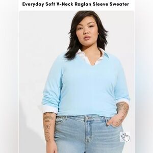 EUC Torrid Everyday Soft V-Neck Raglan Sleeve Sweater - 4x Color: Summer Song